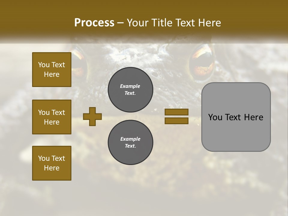 Single Water Caucasian PowerPoint Template
