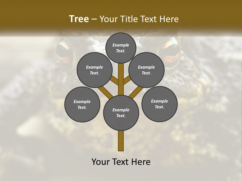 Single Water Caucasian PowerPoint Template