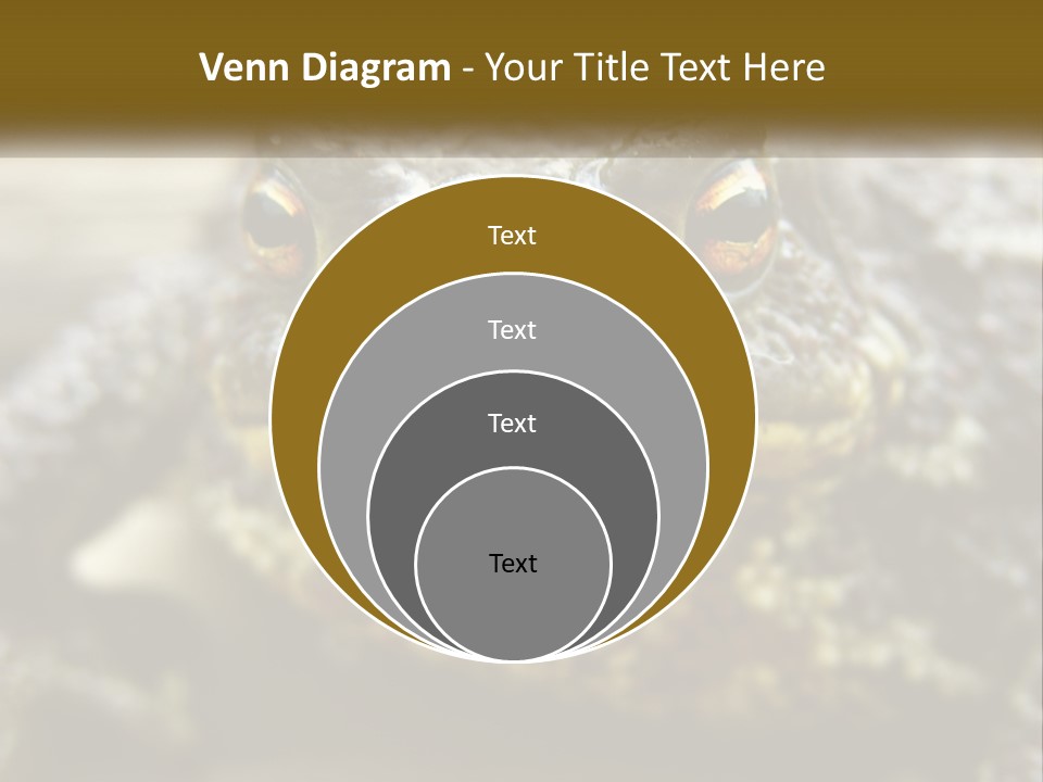 Single Water Caucasian PowerPoint Template