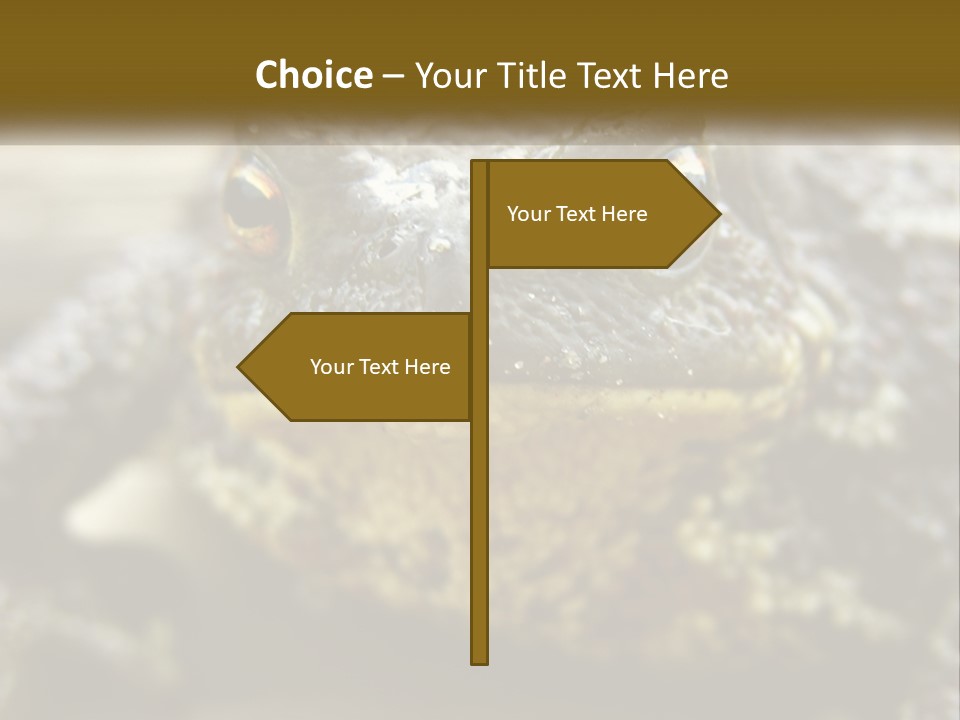 Single Water Caucasian PowerPoint Template