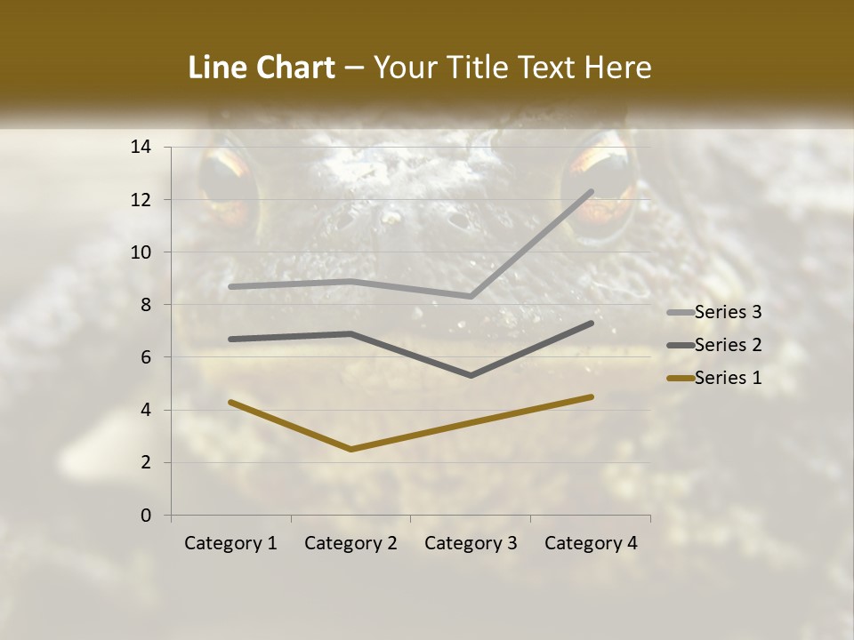 Single Water Caucasian PowerPoint Template