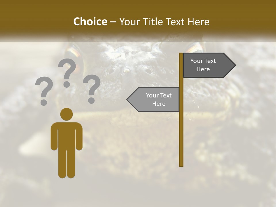 Single Water Caucasian PowerPoint Template