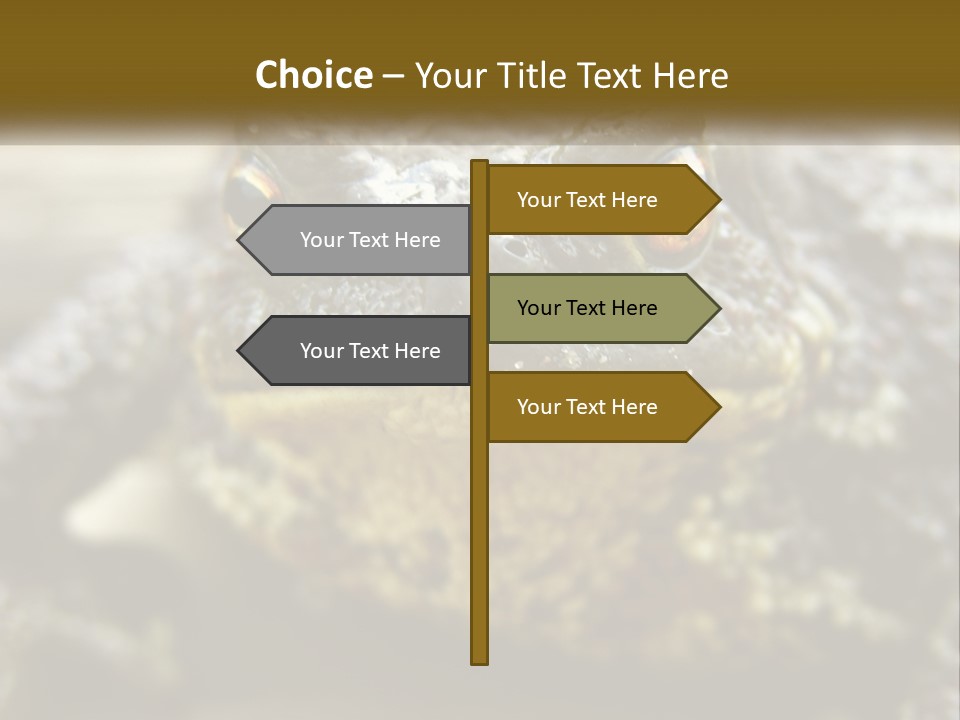 Single Water Caucasian PowerPoint Template