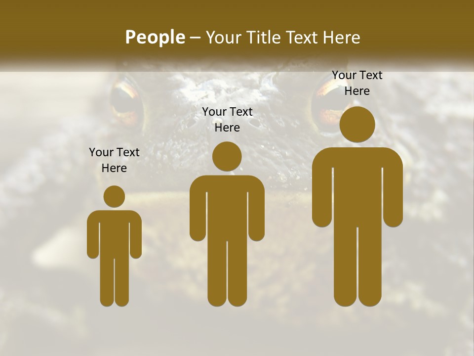 Single Water Caucasian PowerPoint Template