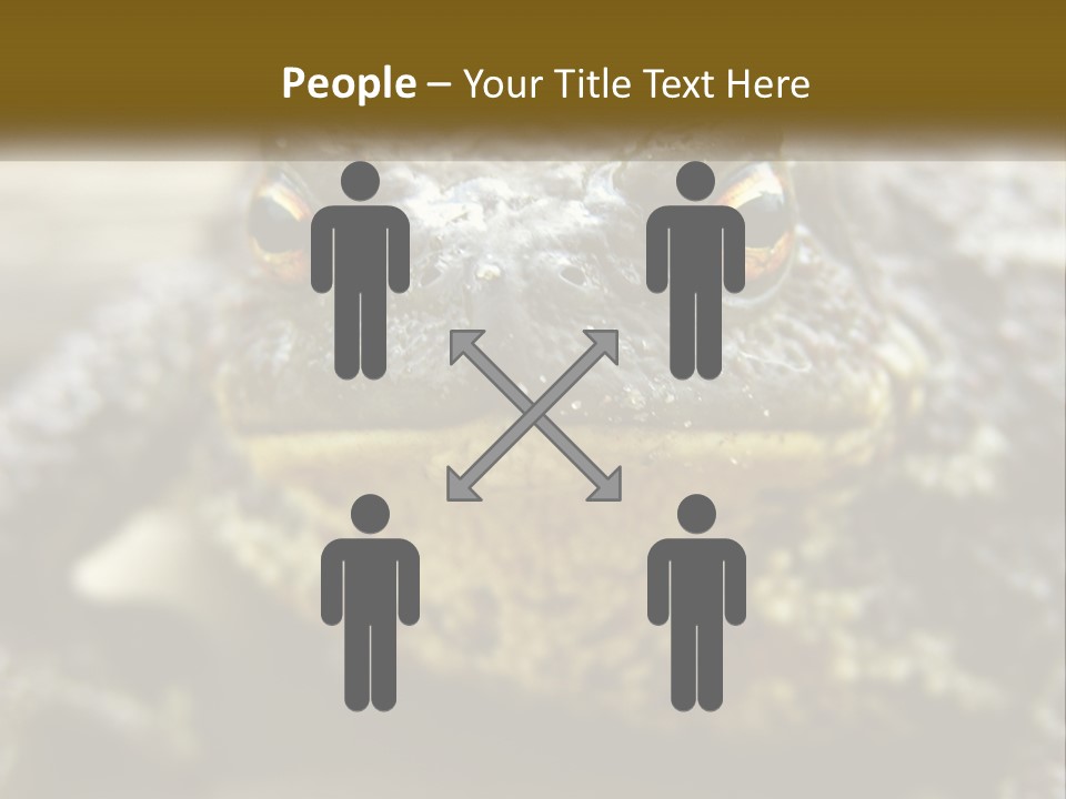 Single Water Caucasian PowerPoint Template