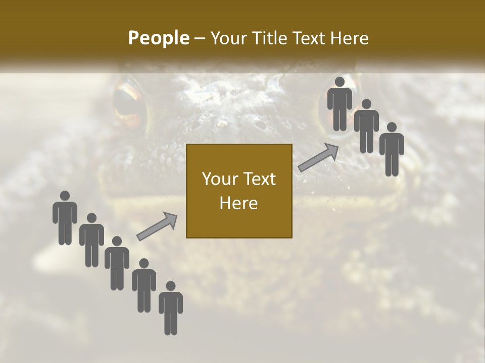 Single Water Caucasian PowerPoint Template