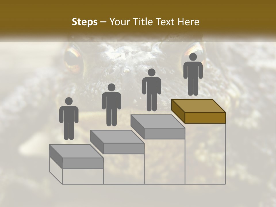 Single Water Caucasian PowerPoint Template