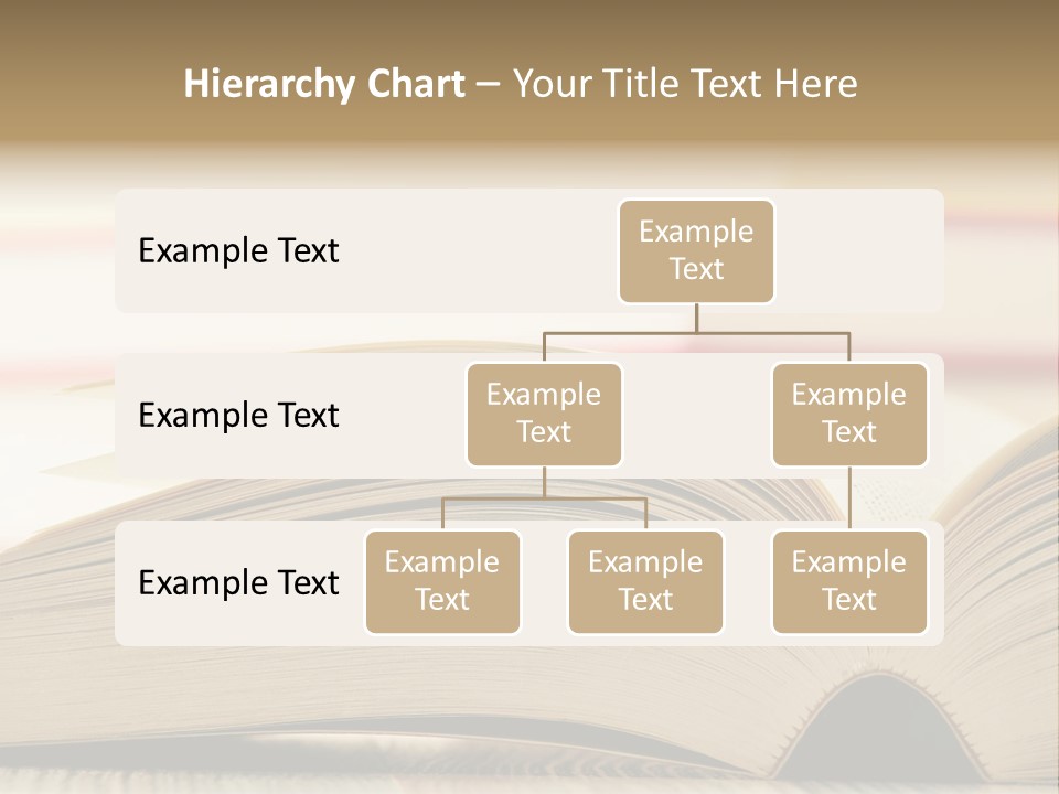 Retirement Mother Portrait PowerPoint Template