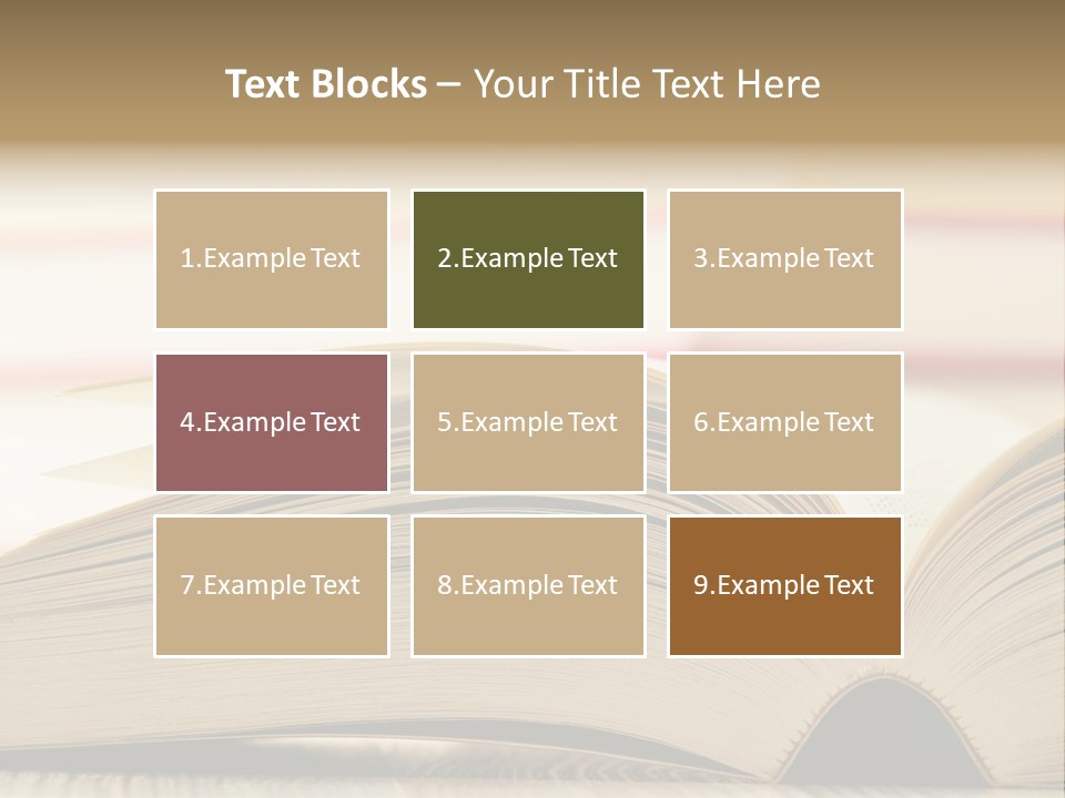 Retirement Mother Portrait PowerPoint Template