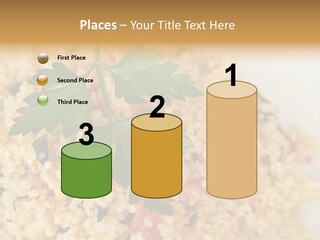 Retirement Water Caucasian PowerPoint Template