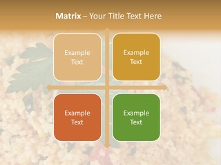 Retirement Water Caucasian PowerPoint Template