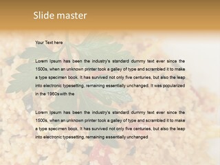 Retirement Water Caucasian PowerPoint Template