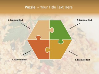 Retirement Water Caucasian PowerPoint Template