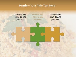 Retirement Water Caucasian PowerPoint Template