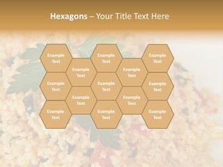 Retirement Water Caucasian PowerPoint Template