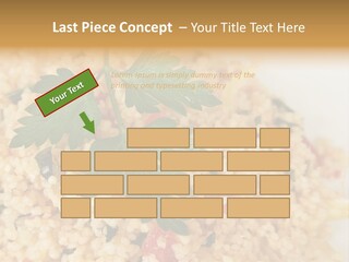 Retirement Water Caucasian PowerPoint Template