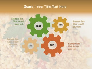 Retirement Water Caucasian PowerPoint Template