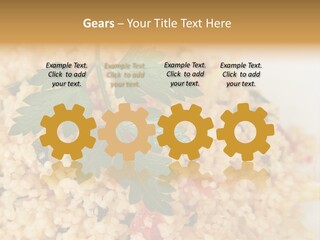 Retirement Water Caucasian PowerPoint Template