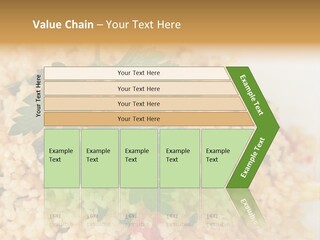 Retirement Water Caucasian PowerPoint Template