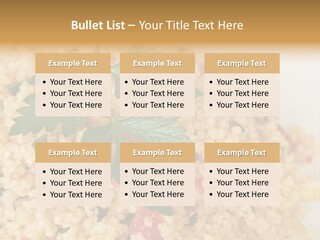 Retirement Water Caucasian PowerPoint Template