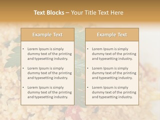 Retirement Water Caucasian PowerPoint Template