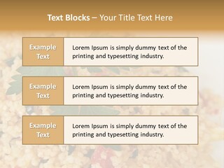 Retirement Water Caucasian PowerPoint Template
