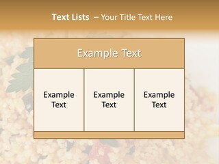 Retirement Water Caucasian PowerPoint Template