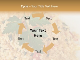 Retirement Water Caucasian PowerPoint Template