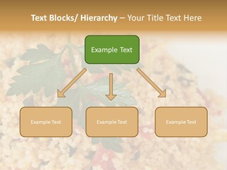 Retirement Water Caucasian PowerPoint Template