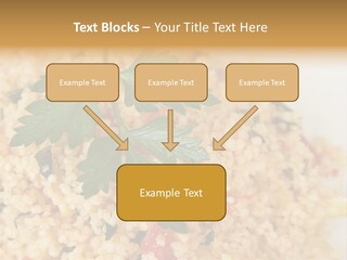 Retirement Water Caucasian PowerPoint Template