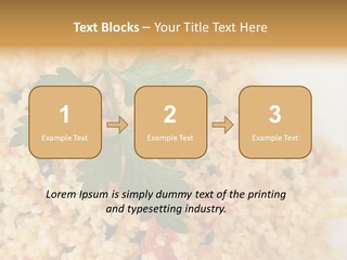 Retirement Water Caucasian PowerPoint Template