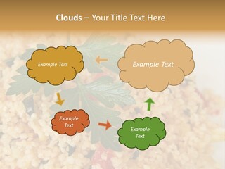 Retirement Water Caucasian PowerPoint Template