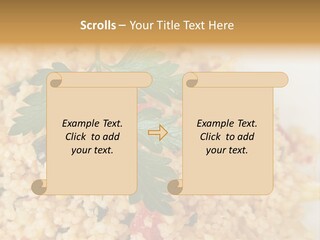 Retirement Water Caucasian PowerPoint Template