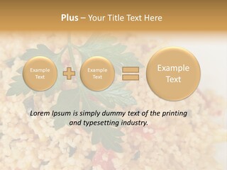 Retirement Water Caucasian PowerPoint Template