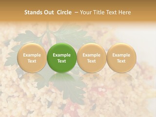 Retirement Water Caucasian PowerPoint Template