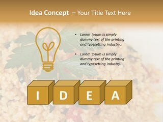 Retirement Water Caucasian PowerPoint Template