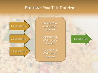 Retirement Water Caucasian PowerPoint Template