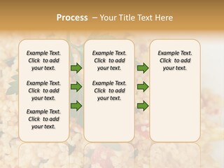 Retirement Water Caucasian PowerPoint Template