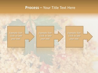 Retirement Water Caucasian PowerPoint Template