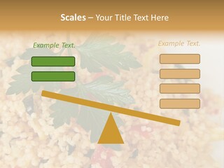 Retirement Water Caucasian PowerPoint Template