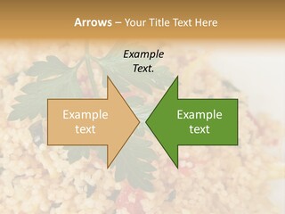 Retirement Water Caucasian PowerPoint Template