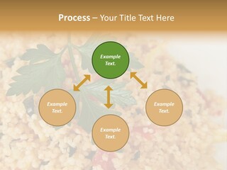 Retirement Water Caucasian PowerPoint Template