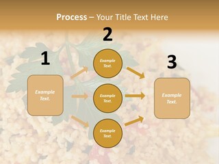 Retirement Water Caucasian PowerPoint Template