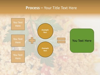 Retirement Water Caucasian PowerPoint Template