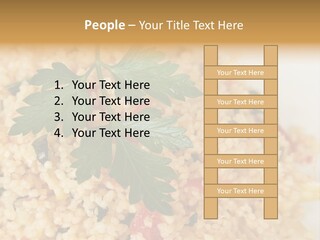 Retirement Water Caucasian PowerPoint Template