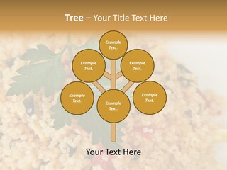 Retirement Water Caucasian PowerPoint Template