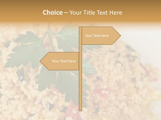 Retirement Water Caucasian PowerPoint Template