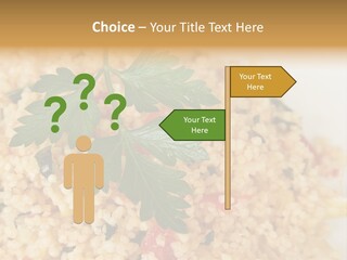 Retirement Water Caucasian PowerPoint Template