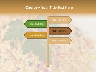 Retirement Water Caucasian PowerPoint Template