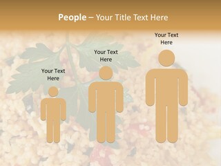 Retirement Water Caucasian PowerPoint Template